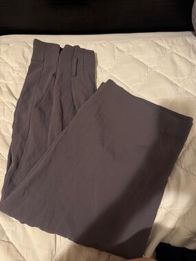 Aritzia Babaton Dress Pants